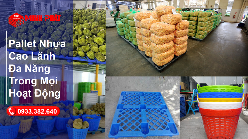 Pallet Nhựa Cao Lãnh Đa Năng Trong Mọi Lĩnh Vực
