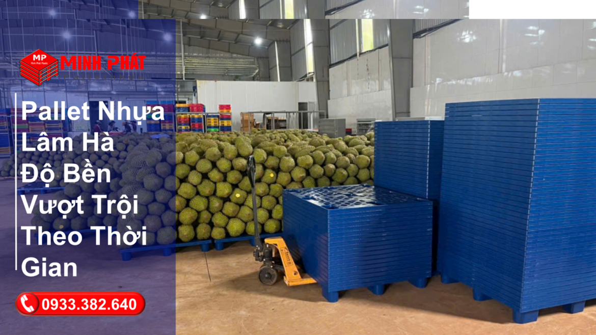 Pallet Nhựa Lâm Hà Độ Bền Vượt Trội Theo Thời Gian