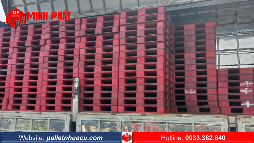 pallet nhựa kho lạnh Minh Phát