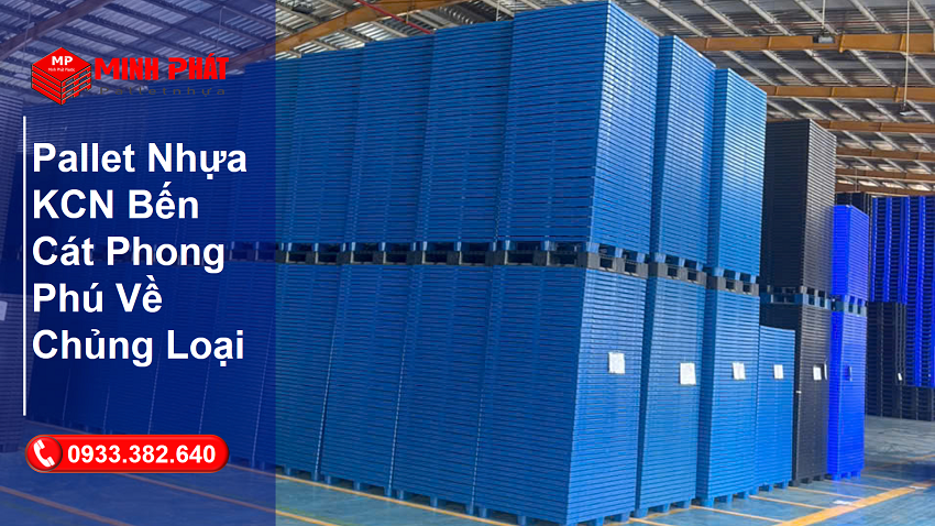 Pallet Nhựa KCN Bến Cát Phong Phú Về Chủng Loại