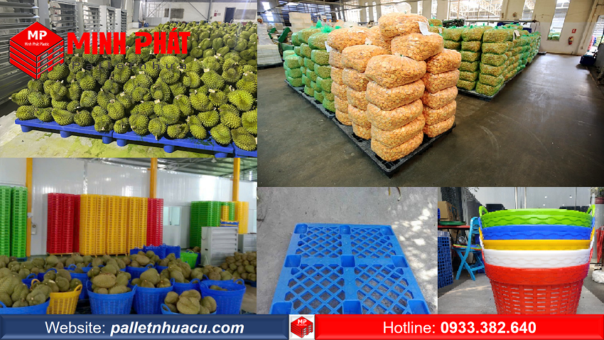 Nhu Cầu Sử Dụng Pallet Nhựa Xuất Khẩu Minh Phát