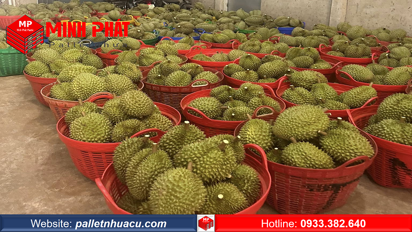 Sọt Nhựa Đựng Sầu Riêng