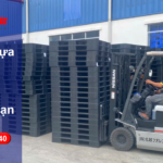 Pallet Nhựa Cũ Bình Định Tiết Kiệm Chi Phí Dài Hạn