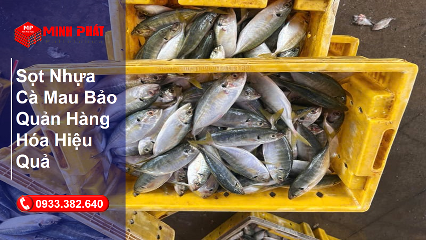 Sọt Nhựa Cà Mau Bảo Quản Hàng Hóa Hiệu Quả