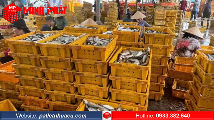 Sọt Nhựa Cà Mau Bảo Quản Hàng Hóa Hiệu Quả 