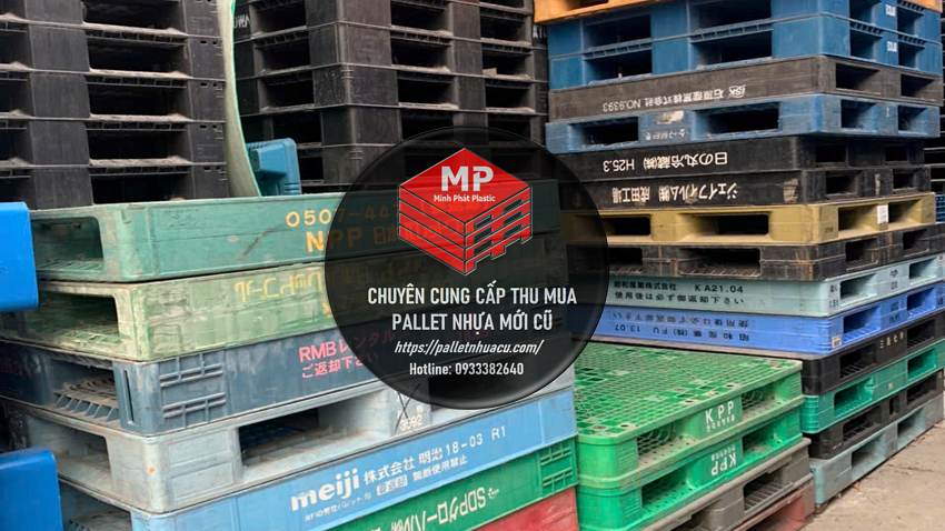 Pallet Nhựa Cũ Bàu Bàng Đầu Tư Hiệu Quả Nhất 2026
