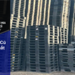 Pallet Nhựa Cũ Phú Giáo Chất Lượng Ổn Định Giá Cả Cạnh Tranh