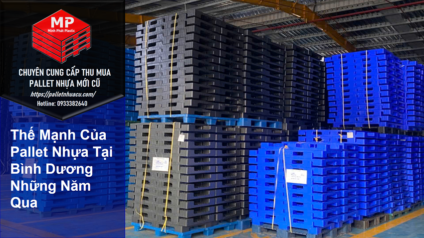 Thế Mạnh Của Pallet Nhựa Tại Bình Dương Những Năm Qua