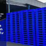 Pallet Dương Minh Châu Đầu Tư Xứng Tầm