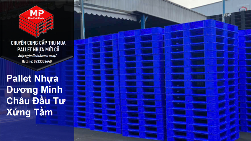Pallet Dương Minh Châu Đầu Tư Xứng Tầm