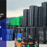 Pallet Nhựa Bắc Tân Uyên – Bình Dương