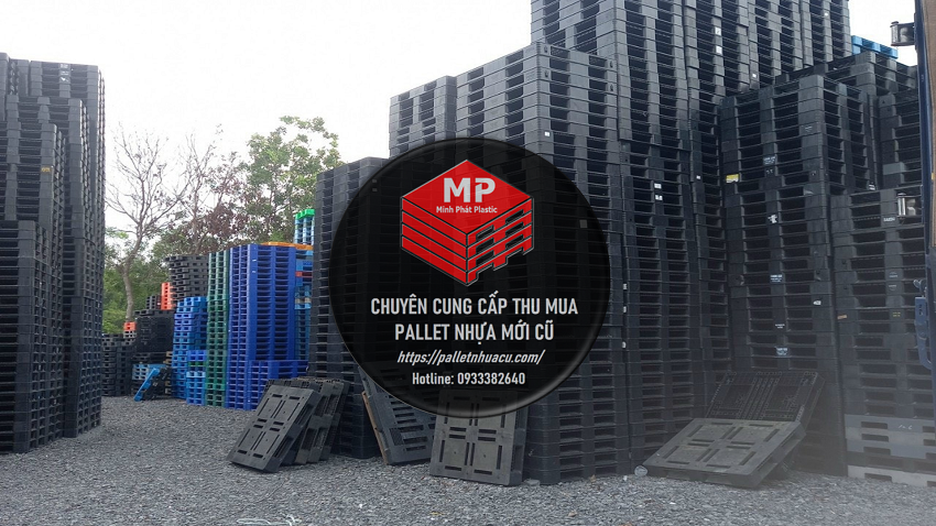 Pallet Nhựa Đồng Xoài Tại Thủ Phủ Nông Sản Bình Phước