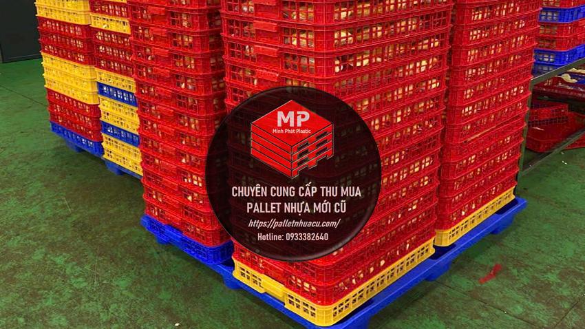 Pallet Nhựa Đồng Xoài Tại Thủ Phủ Nông Sản Bình Phước