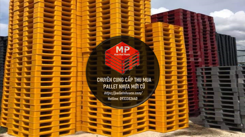 Pallet Nhựa Đồng Xoài Tại Thủ Phủ Nông Sản Bình Phước