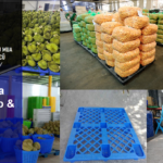 Pallet Nhựa Bù Gia Mập & Sọt Nhựa Sầu Riêng Minh Phát