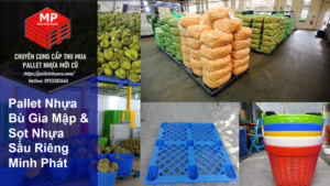 Pallet Nhựa Bù Gia Mập & Sọt Nhựa Sầu Riêng Minh Phát