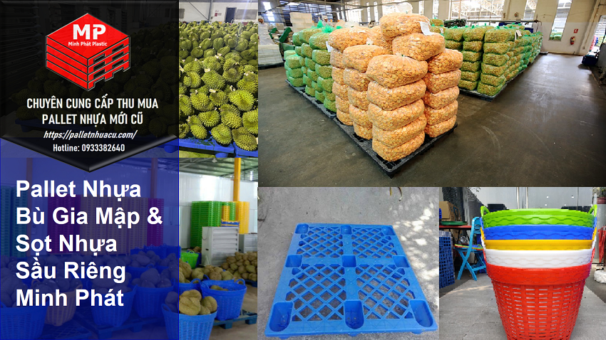 Pallet Nhựa Bù Gia Mập & Sọt Nhựa Sầu Riêng Minh Phát