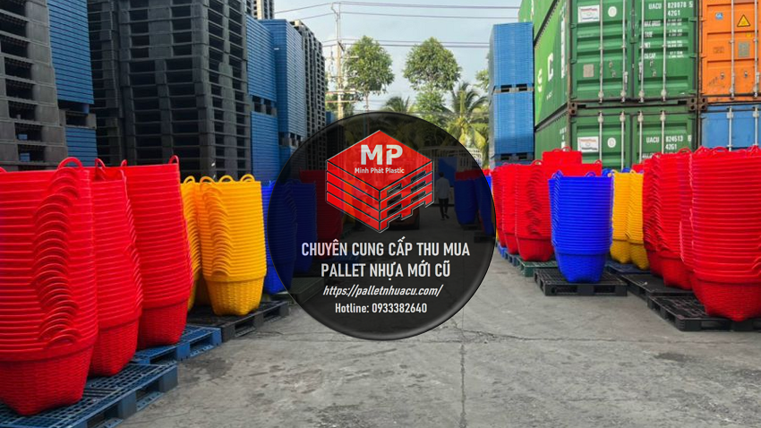 Pallet Nhựa Bù Gia Mập & Sọt Nhựa Sầu Riêng Minh Phát