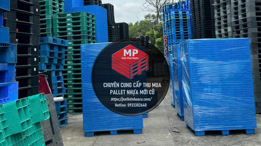 Pallet Nhựa Bù Gia Mập & Sọt Nhựa Sầu Riêng Minh Phát