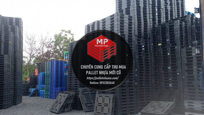 Pallet Nhựa Bù Gia Mập & Sọt Nhựa Sầu Riêng Minh Phát