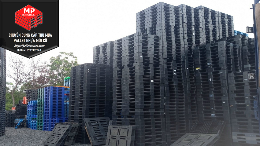 Pallet Nhựa Bình Thuận Và Nhu Cầu Sử Dụng Pallet Nhựa