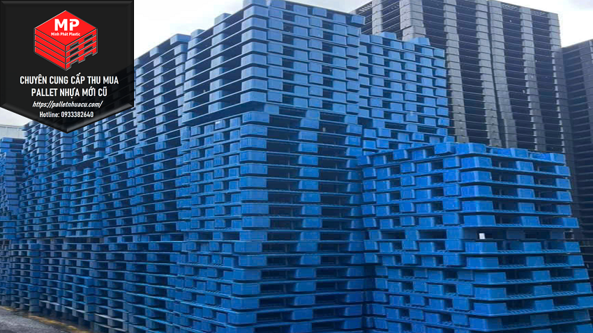 Pallet Nhựa Bình Thuận Và Nhu Cầu Sử Dụng Pallet Nhựa