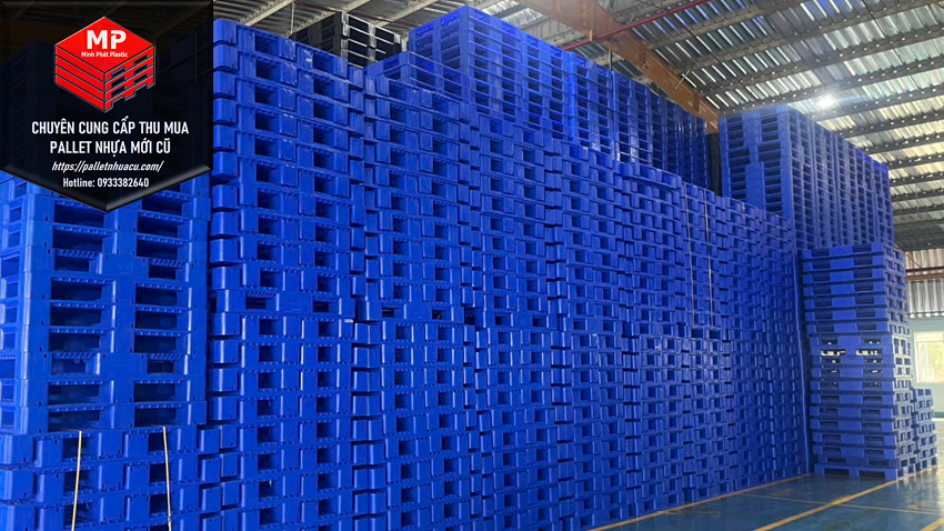 Pallet Nhựa Bình Thuận Và Nhu Cầu Sử Dụng Pallet Nhựa