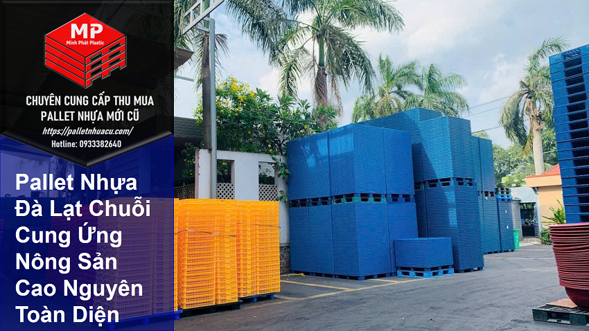 Pallet Nhựa Đà Lạt Chuỗi Cung Ứng Nông Sản Cao Nguyên