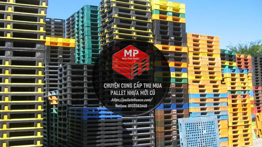 Pallet Nhựa Đà Lạt