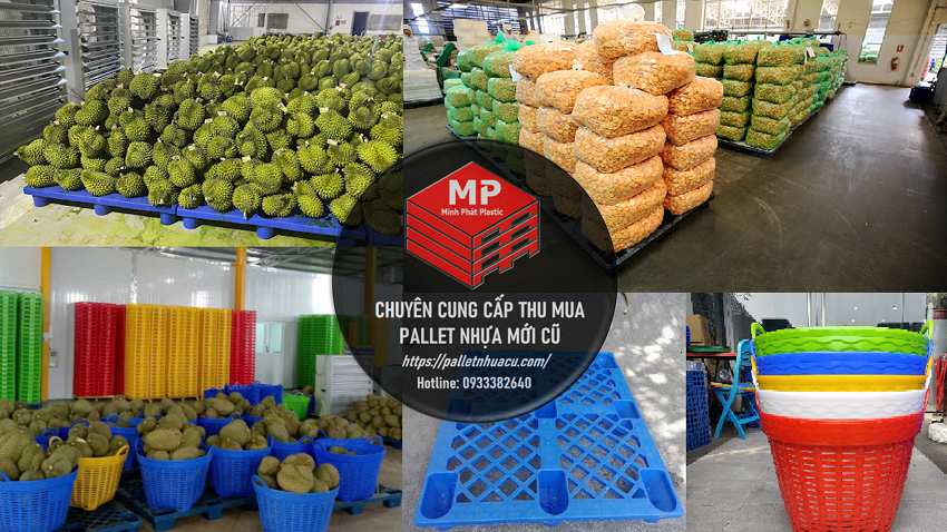 Pallet Nhựa Đà Lạt