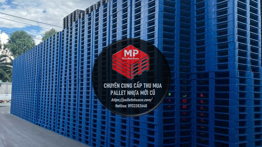Pallet Nhựa Đà Lạt