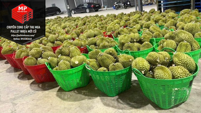Sọt Nhựa Bình Dương Sỉ Lẻ Giao Hàng Nhanh 24/7