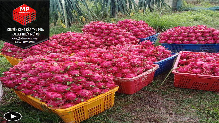 Sọt Nhựa Bình Dương Sỉ Lẻ Giao Hàng Nhanh 24/7