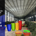 Sọt Nhựa Đắk Lắk Giá Tốt Cho Nhà Vườn Tây Nguyên