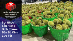 Sọt Nhựa Sầu Riêng Bình Phước Bền Bỉ, Chịu Lực Tốt