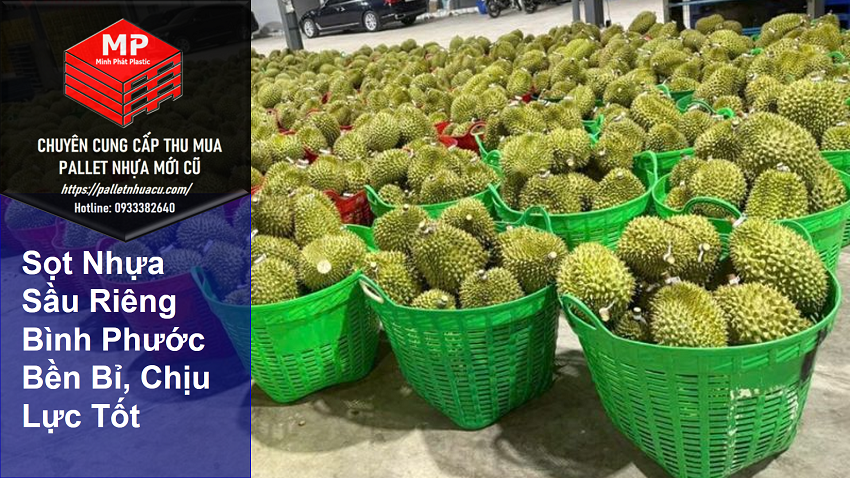 Sọt Nhựa Sầu Riêng Bình Phước Bền Bỉ, Chịu Lực Tốt