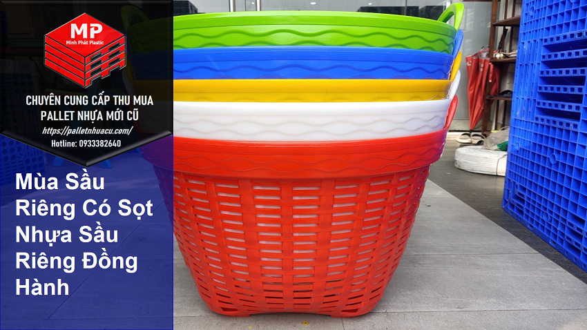 Mùa Sầu Riêng Có Sọt Nhựa Sầu Riêng Đồng Hành
