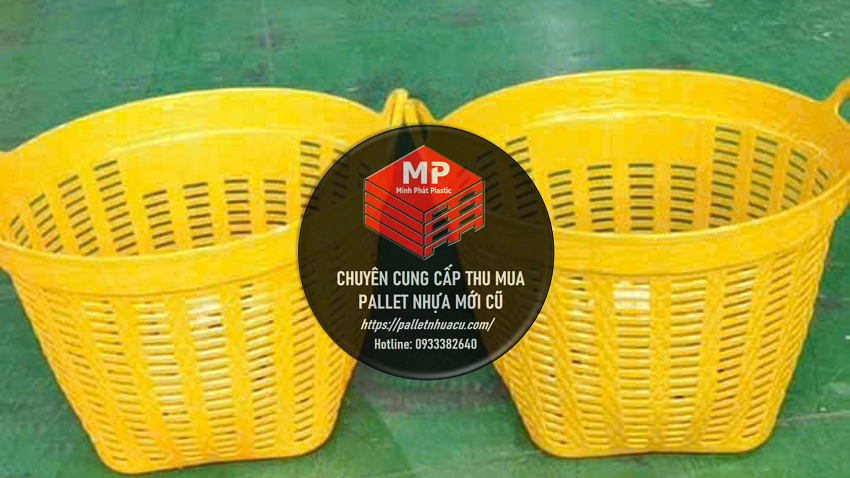 Địa chỉ mua sọt sầu riêng Tiền Giang uy tín