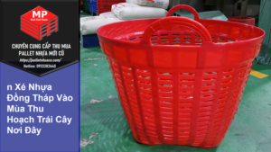 Cần Xé Nhựa Đồng Tháp Vào Mùa Thu Hoạch Trái Cây Nơi Đây