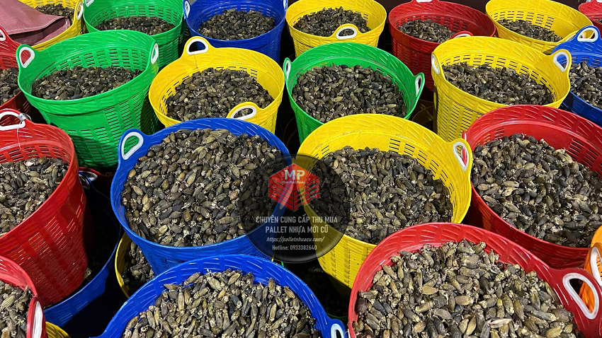 cần xé nhựa Đồng Tháp